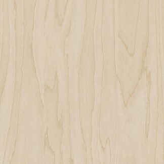 Interieurfolie Hout CT19 - Gold pale birch
